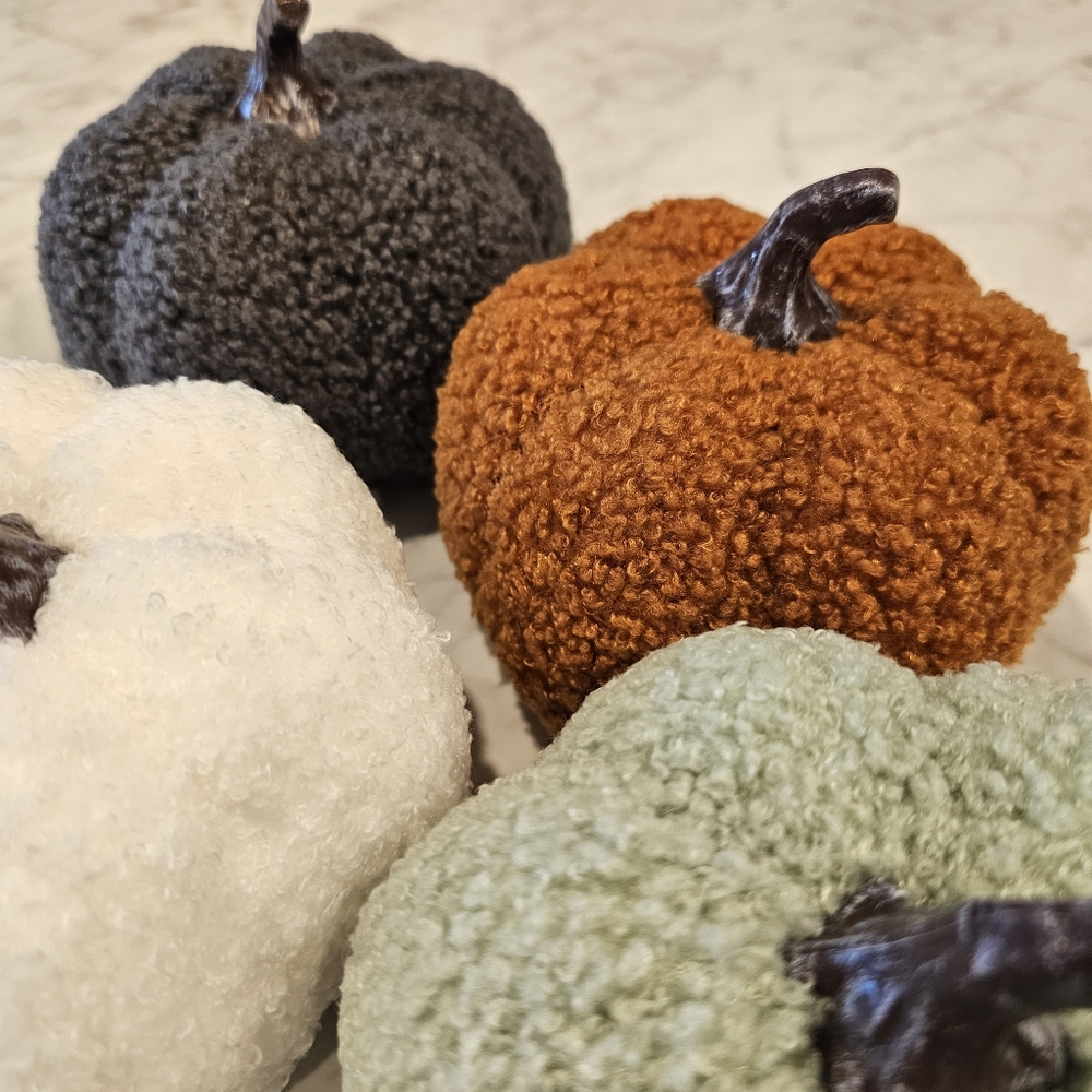 Sherpa Pumpkins Set of 4 Medium - Picture 3 of 13